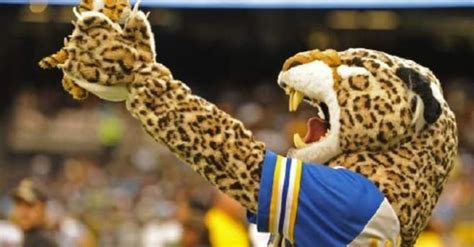 Royal and Resilient: Colleges with Majestic Jaguar Mascots